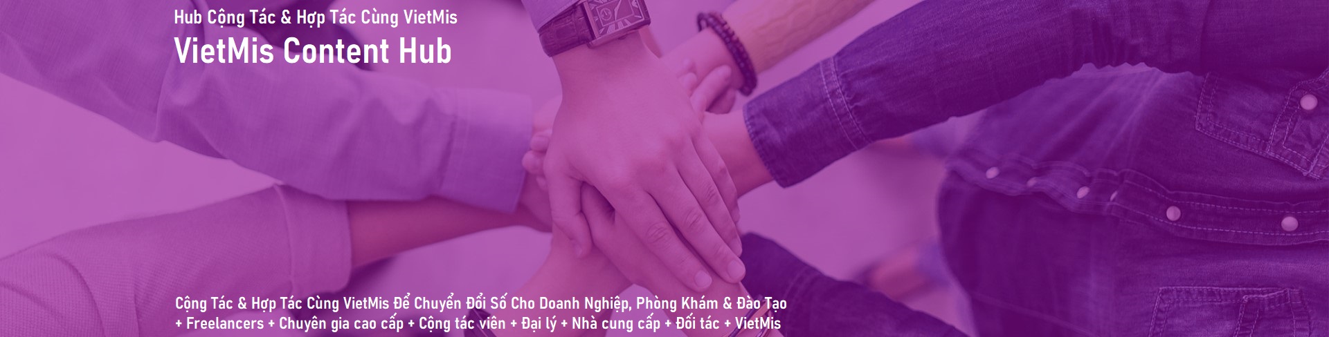 Cộng Tác & Hợp Tác Cùng VietMis - VietMis Content Hub