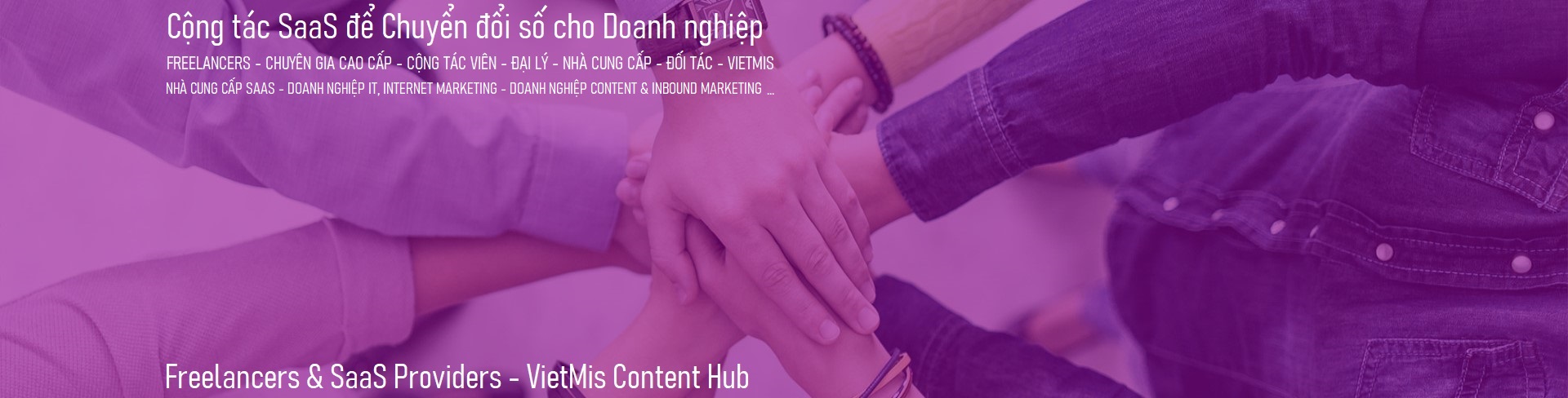 Freelancers & SaaS Providers - VietMis Content Hub